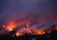 24 de oameni și un MILIARD de animale au murit în incendiile din Australia 