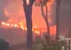Imagini din iadul provocat de incendiul din Grecia. Sunetul flăcărilor este de-a dreptul înfiorător