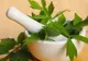 Planta care te ajută în curele de slăbire! Efectele miraculoase pe care le are asupra organismului