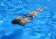 Ce boli poți lua de la piscină. La ce trebuie să fii atent când folosești bazinele publice!