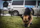 TRAGEDIE. S-a întors de la înmormântarea fiicei de 17 ani. Ce a descoperit mama îndurerată