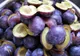 Uimitoare dietă cu prune. Slăbești 7 kilograme în doar o săptămână