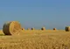 Agricultura, dată peste cap de vreme. Ministrul susține că pierderile sunt mici