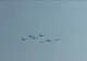 Spectacol pe cerul Capitalei. Aeronave supersonice şi de acrobaţie la show-ul aviatic BIAS 2018