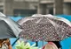 Când scăpăm de ploi? Veştile de la meteorologi nu sunt deloc bune