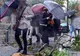 Alertă meteo de vreme rea: COD PORTOCALIU de ploi abundende. Judeţele afectate