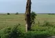 Imagini de coşmar: o tornadă a făcut ravagii 
