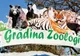 Imagini cumplite la ZOO Galați: Trei copii lovesc animalele, iar părinții se uită la ei