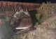 Copil de 10 ani, mort într-un accident cumplit. Alţi 5 răniţi, între care o femeie însărcinată