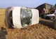 Accident grav, patru copii răniți din cauza unui șofer băut