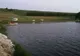 Un bărbat a fost descoperit înecat, într-un lac din Giurgiu