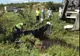 Zeci de baraje de neutralizare a biodieselului, după accidentul de la Cârcea
