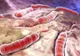 Epidemia de HOLERĂ se extinde. Încă 24 de oameni au murit din cauza virusului ucigaş 