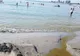 Martor Ocular. Scenă dezgustătoare pe litoral, sub ochii turiștilor. ”De asta am venit aici?”