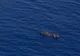 Peste 100 de persoane, salvate în Marea Mediterană 