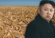 Coreea de Nord, în pragul unui val de foamete cu ”efecte potenţial catastrofale”
