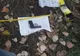 Pistolul dispărut la protestele din 10 august a fost găsit, după 10 zile