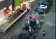 Reacții dure după ce un elefant a fost plimbat pe un camion în Sighetu Marmației