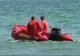 Marea a mai făcut o victimă la Nepun