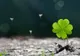 3 zodii dau de mulți bani, în curând! Vezi dacă şi a ta este printre ele