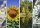 Structura anotimpurilor în România se va schimba. Avertismentul unui climatolog