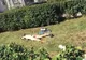 Tânără dezbrăcată face plajă în faţa primăriei din Giurgiu 