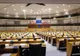 Norica Nicolai, după sancționarea Ungariei de către Parlamentul European: O greșeală, dublu standard