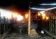 Incendiu devastator la o fermă de porci. Peste 1.700 de animale au murit