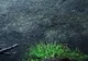 ALERTĂ METEO de fenomene EXTREME imediate. Cod GALBEN de ploi şi vijelii