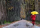 Prognoza meteo: Cum va fi vremea în următoarele trei zile