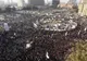Zeci de condamnați la moarte în Egipt pentru protestele din 2013