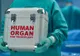 Organe umane aduse ilegal în România - Autoritățile au descins la o clinică din București