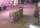 Ce au văzut părinții miresei în mijlocul petrecerii. Cadoul mirelui i-a lăsat pe toți fără vorbe