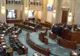 Discursuri de la votul pentru revizuirea Constituției. ”Oastea e creștină” și ”Așa e la mine în sat”