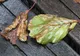 Vreme de toamnă la început de weekend. Prognoza meteo pentru joi, vineri și sâmbătă