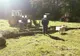 VIRAL. Jandarmii din Sălaj au anonimizat un câine prins la furat de lemne