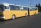 România. Călători în pericol: Un autobuz s-a rupt de la jumătate