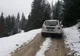 Ninge abundent în zona montană a județului Bistrița-Năsăud (FOTO/VIDEO)