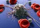 Greşeala pe care o faci zilnic şi te îmbolnăveşte de CANCER fără să ştii 
