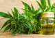 Descoperire MAJORĂ. Ce ar putea fi mult mai eficient decât canabisul medicinal