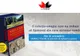 Marea istorie ilustrată a României și a Republicii Moldova: O colecție unică, în 10 volume (P)
