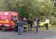 Vântul face victime în București! Un bărbat rănit grav, după ce un copac a căzut peste mașina sa