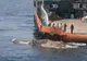 Înfiorător! Marinarii au scos din adâncuri o creatură misterioasă. Au îngheţat de spaimă! Ce era