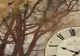 Cum să ne relaxăm cu ajutorul muzicii. Ce ar trebui să ascultăm ca să scăpăm de stres