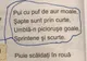 Încă o poezie "masacrată" în manualele şcolare: "Pui de raţă", de Nina Cassian