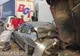 TRAGEDIE în lanţ pe autostradă:cel puţin 6 morţi, 27 de răniţi, maşini făcute praf.Imagini de coşmar