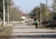 Ștefănești, orașul pe care oamenii îl vor din nou comună: „Nu ne-o făcut nici măcar ziua orașului”