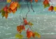Weekend rece şi ploios: Anunţ de ultimă oră de la meteo!