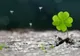 Horoscop financiar 29 octombrie - 4 noiembrie. Zodia pentru care banii nu vor mai fi o problemă