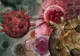 Produsele cancerigene pe care le folosești zilnic